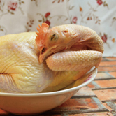 种禽选择 分四次进行